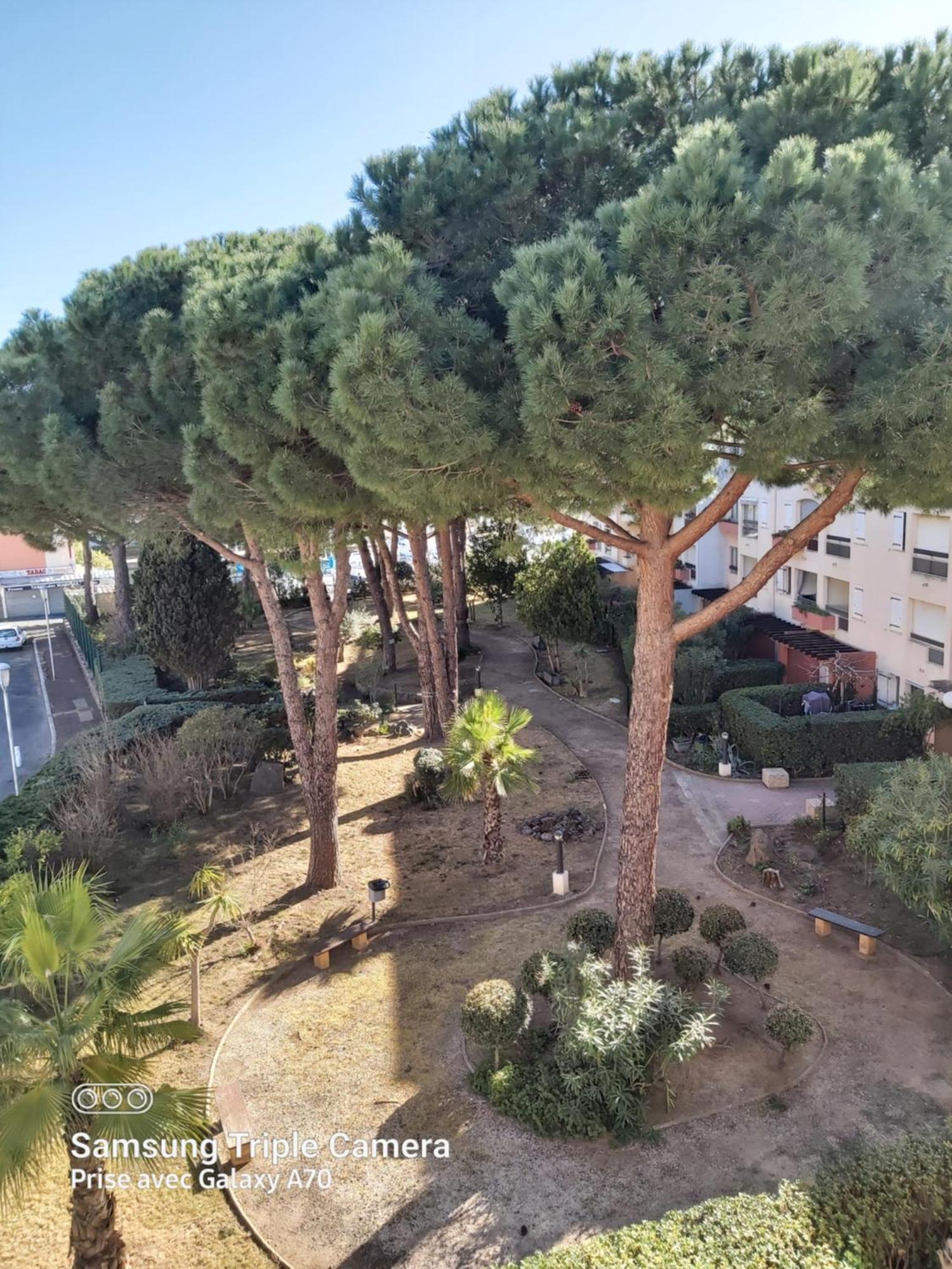 Coquet Studio Centre Port Cap D'Agde Exterior foto